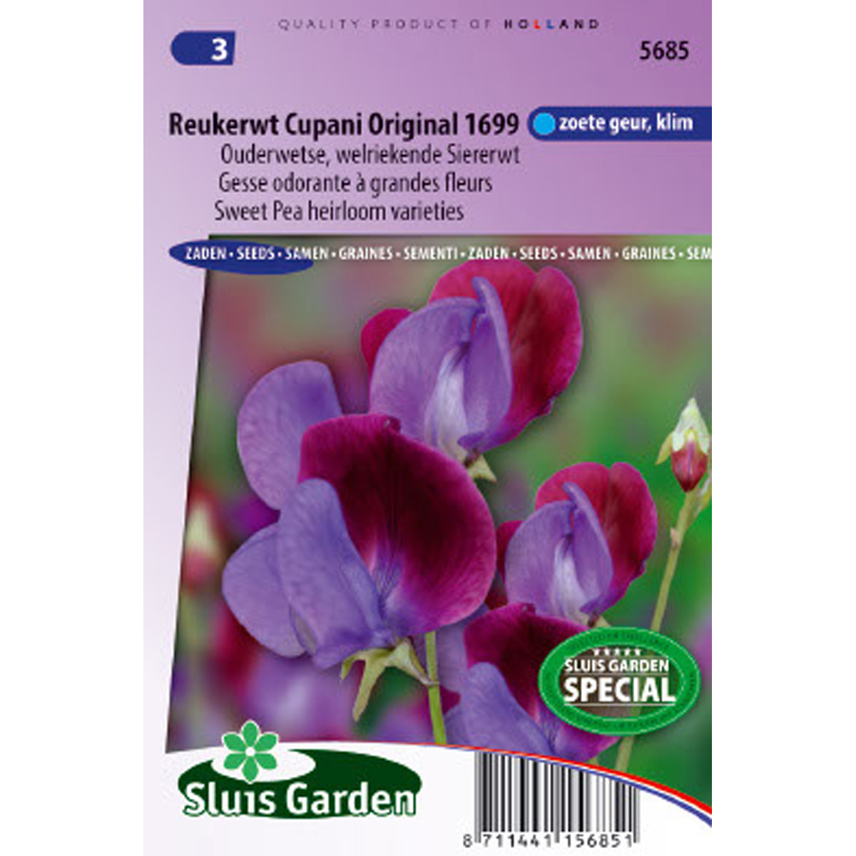 Pois de senteur Cupani - Lathyrus odoratus grandiflora