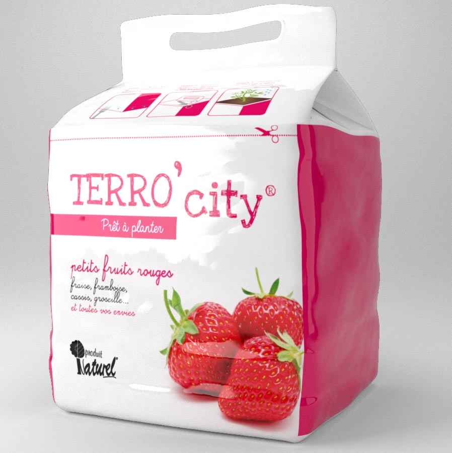 Terreau Terro' City pour petits fruits rouges en sac de 10L