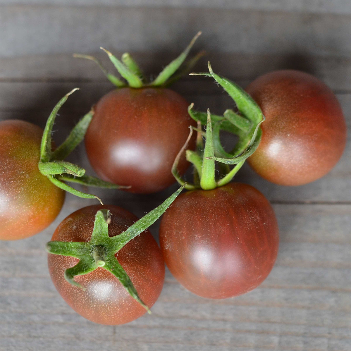 Tomate Black Cherry ´Cerise Noire´ Bio - Ferme de Sainte Marthe