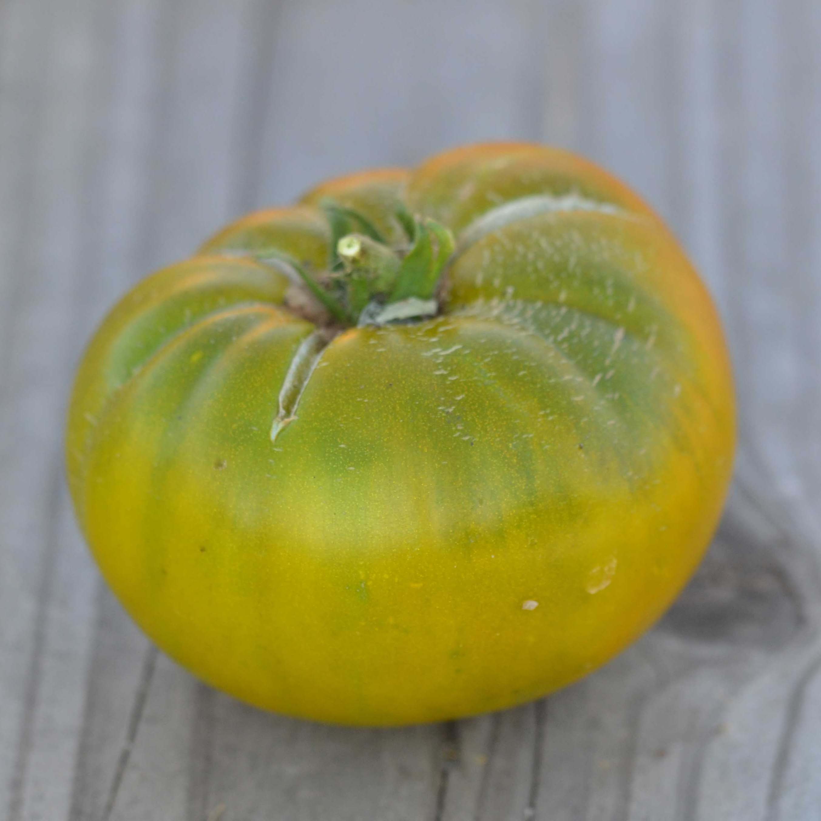 Tomate Green Moldovan Bio - Ferme de Sainte Marthe