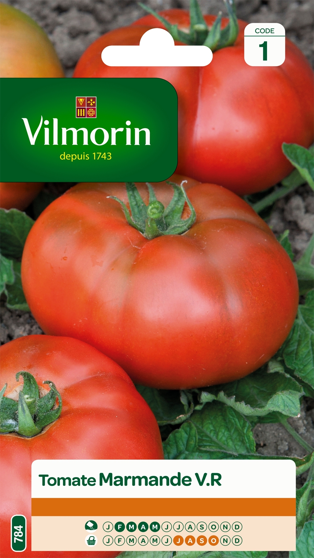 Tomate Marmande - Vilmorin