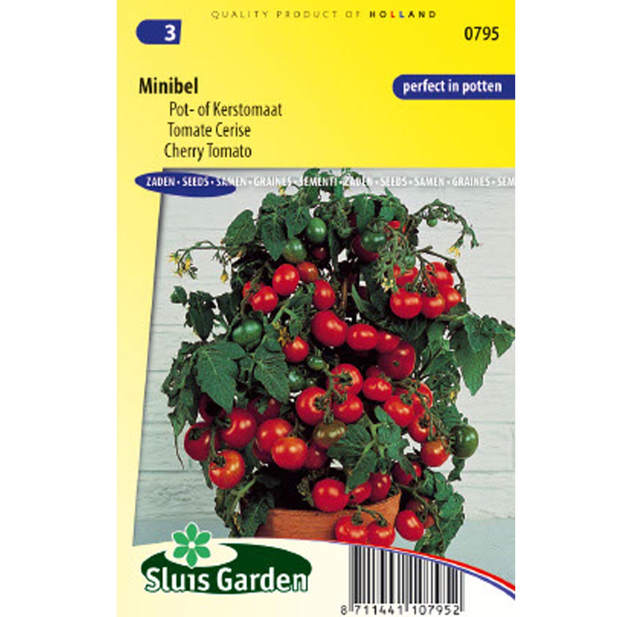 Tomate Minibel - Tomate Cerise 