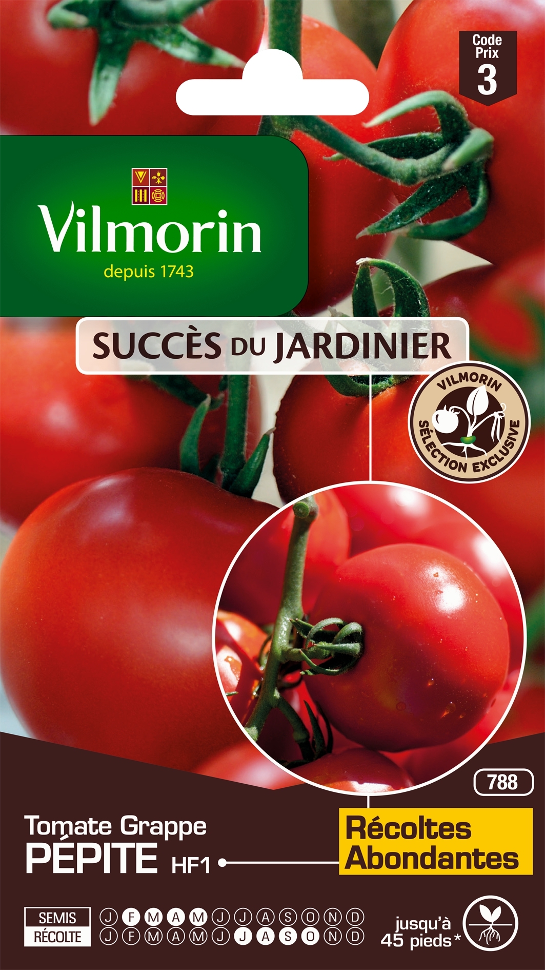 Tomate Pépite F1 (Création Vilmorin) - Vilmorin