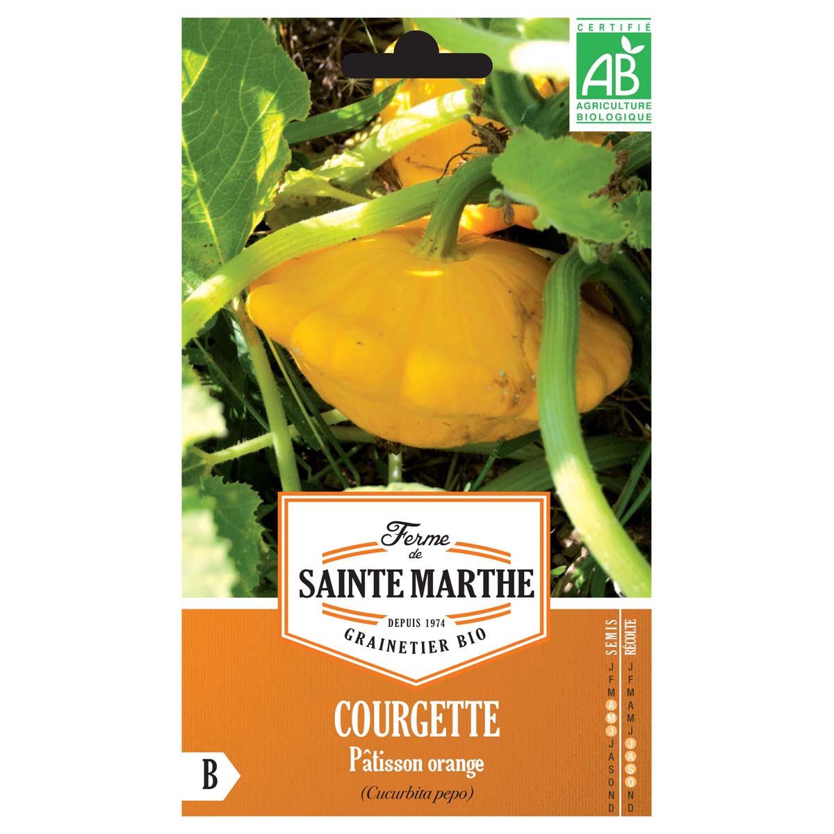 Courgette Pâtisson Orange AB - Ferme de Sainte Marthe