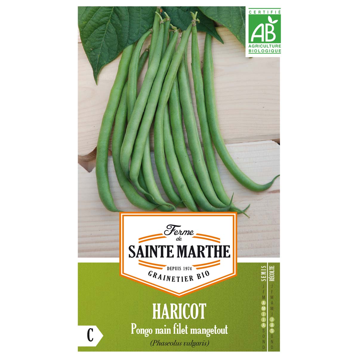 Haricot Pongo sans fil vert foncé Bio – Top 50 - Ferme de Sainte Marthe 