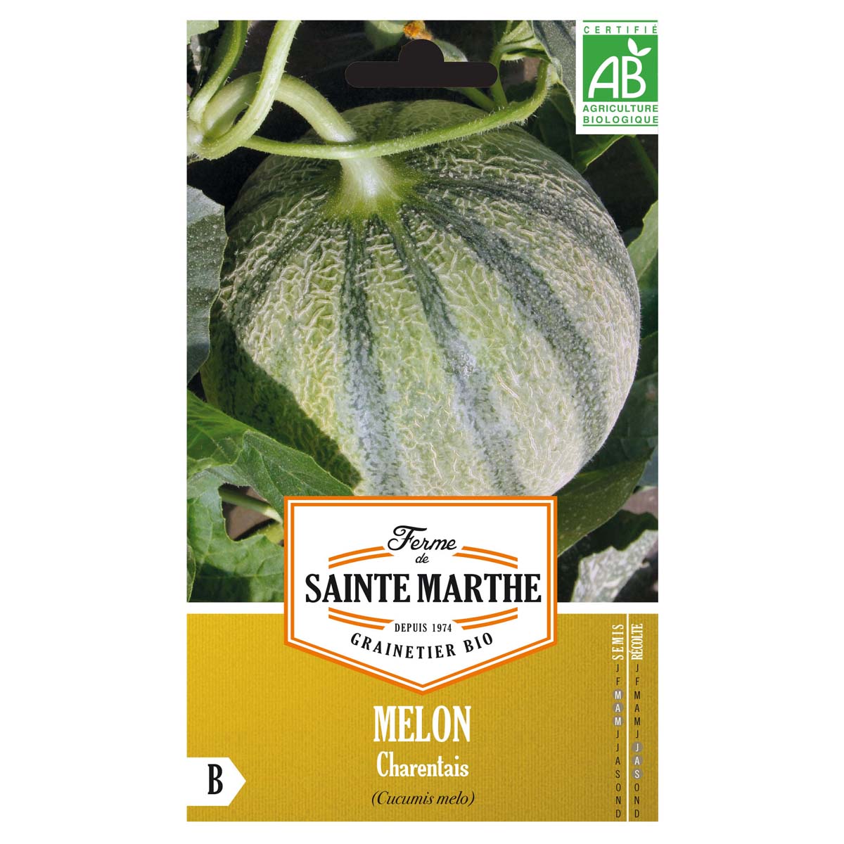 Melon Charentais Bio - Ferme de Sainte Marthe