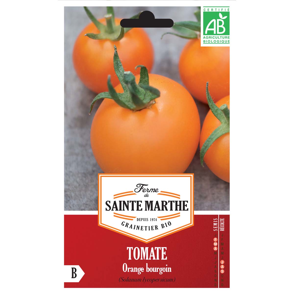 Tomate Orange Bourgoin AB - Ferme de Ste Marthe