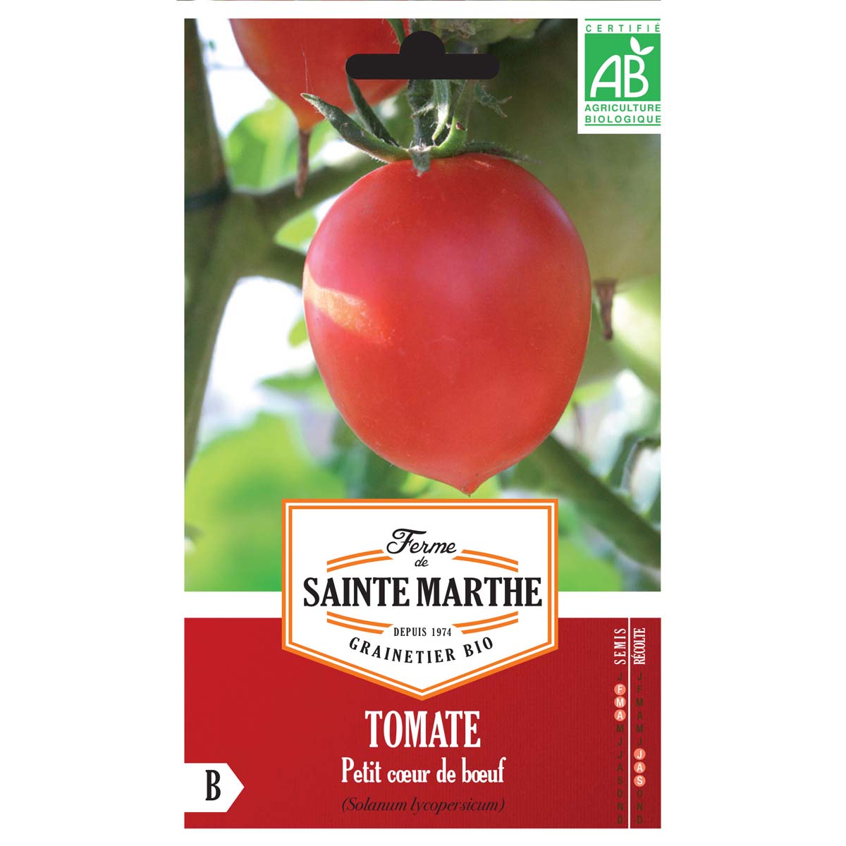 Tomate Petit Coeur De Boeuf AB - Ferme de Ste Marthe
