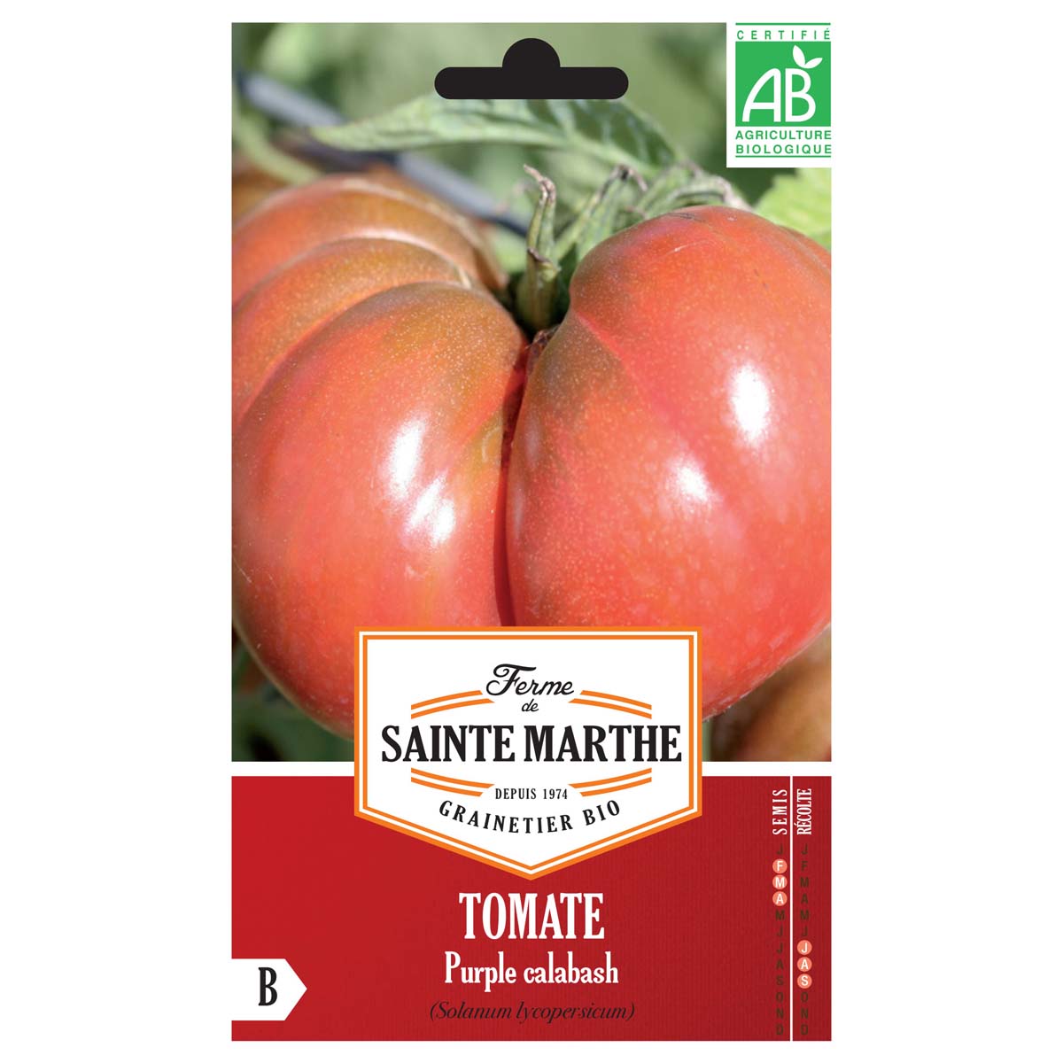 Tomate Purple Calabash AB - Ferme de Ste Marthe