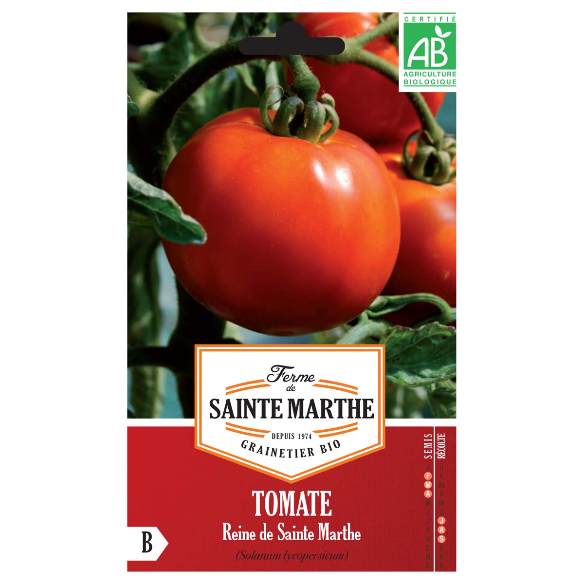 Tomate Reine De Sainte-Marthe AB - Ferme de Ste Marthe