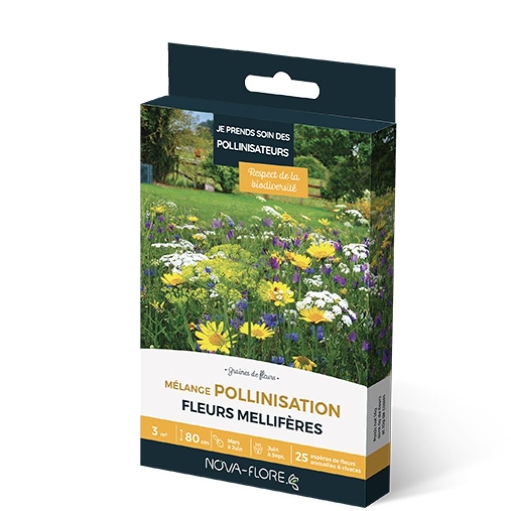 Mélange Pollinisation - Boîte pour 3 m²