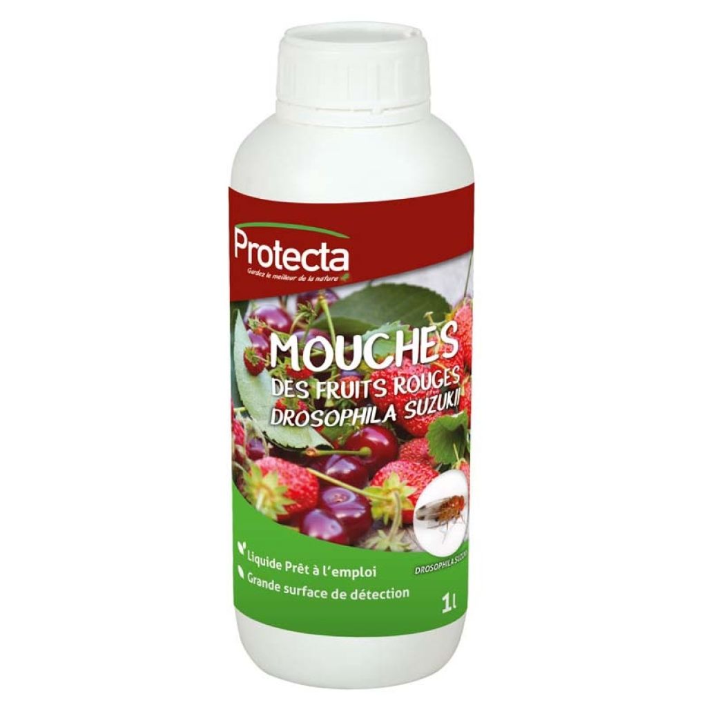 Appât liquide pour mouche des fruits rouges Drosophila suzukii Protecta 