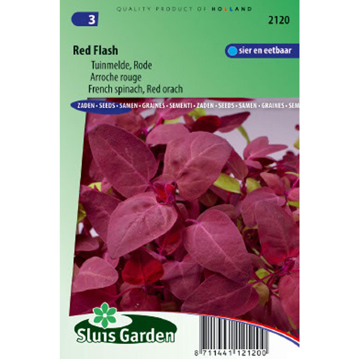 Graines D'Arroche Des Jardins Rouge (Atriplex Hortensis) - Environ 200 Semences - Salade Douce Et Peu Exigeante