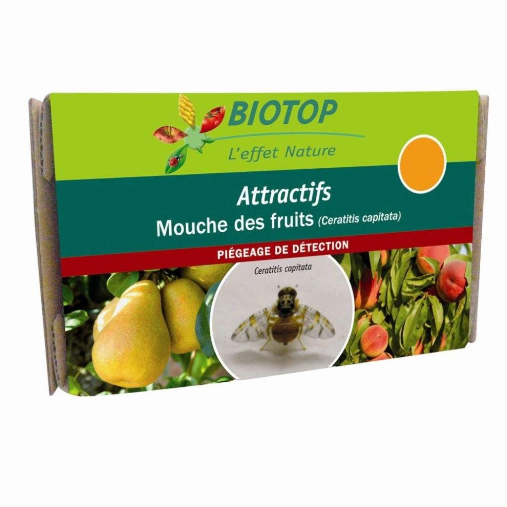 Attractif Ceratitis capitata - Mouche méditerranéenne des fruits (2 capsules) Biotop