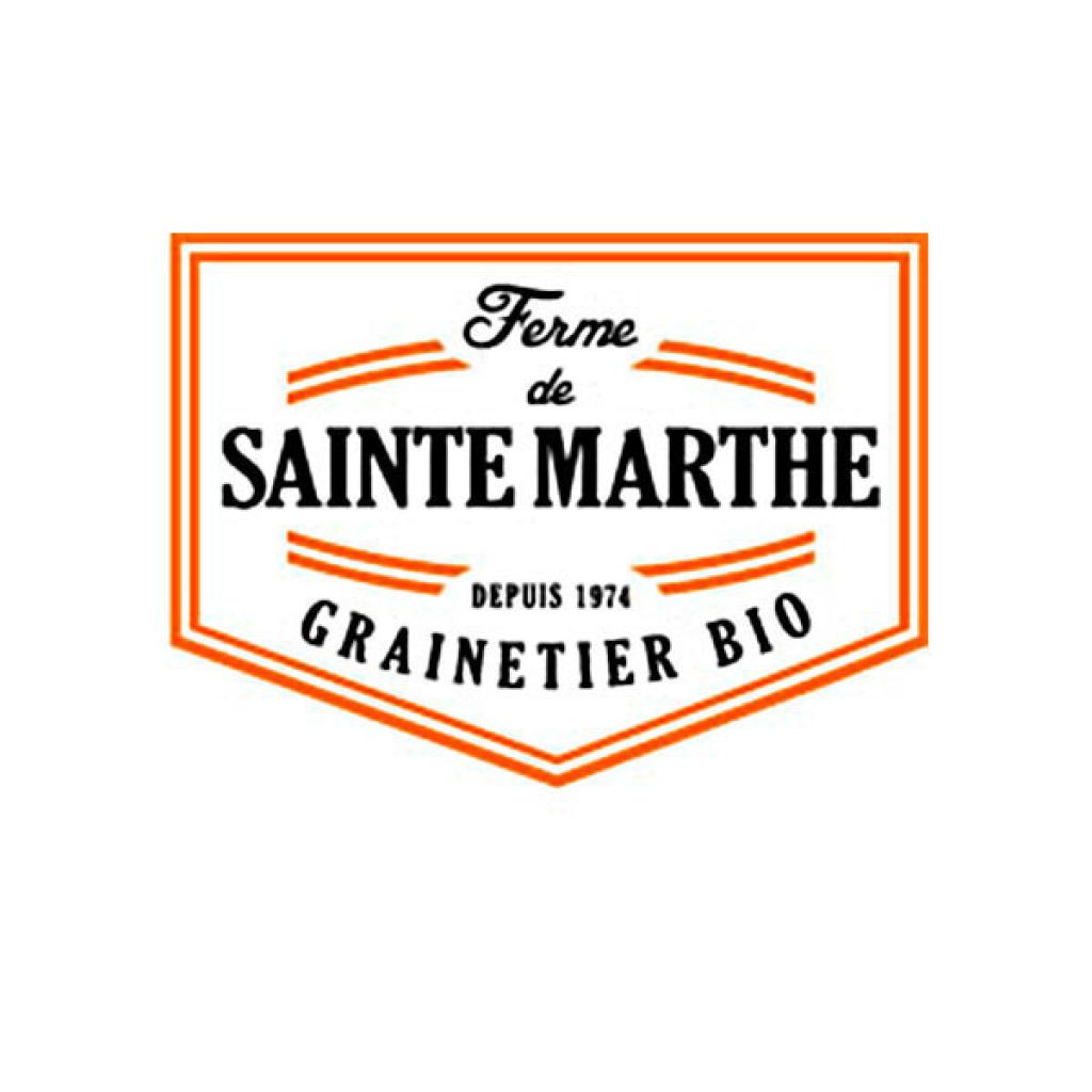 Bourrache blanche Bio - Ferme de Sainte Marthe