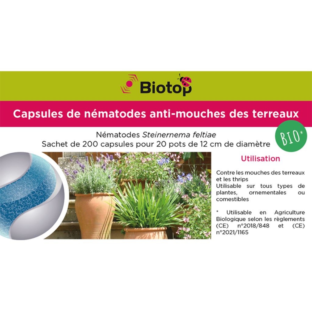 Capsules de nématodes anti-mouches des terreaux Biotop