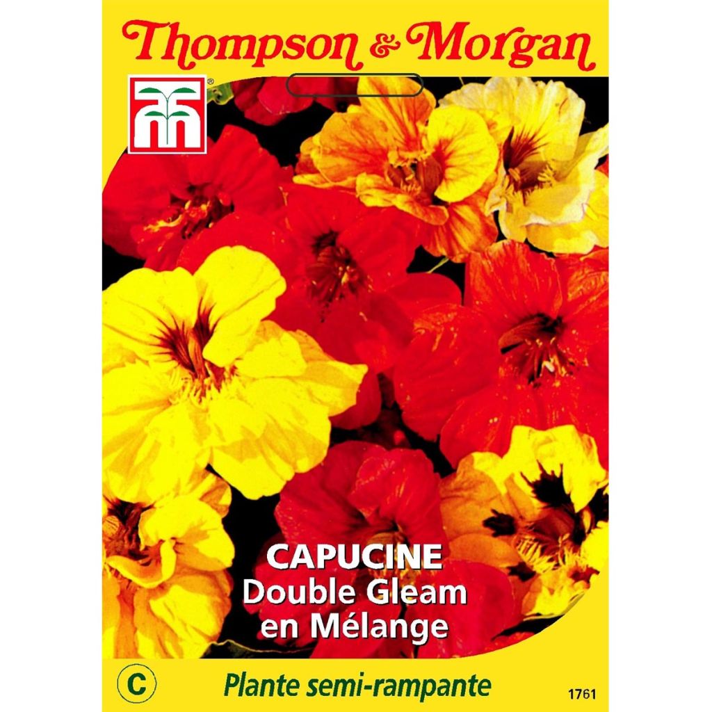 Graines de Capucine Double Gleam en mélange - Tropaeolum majus