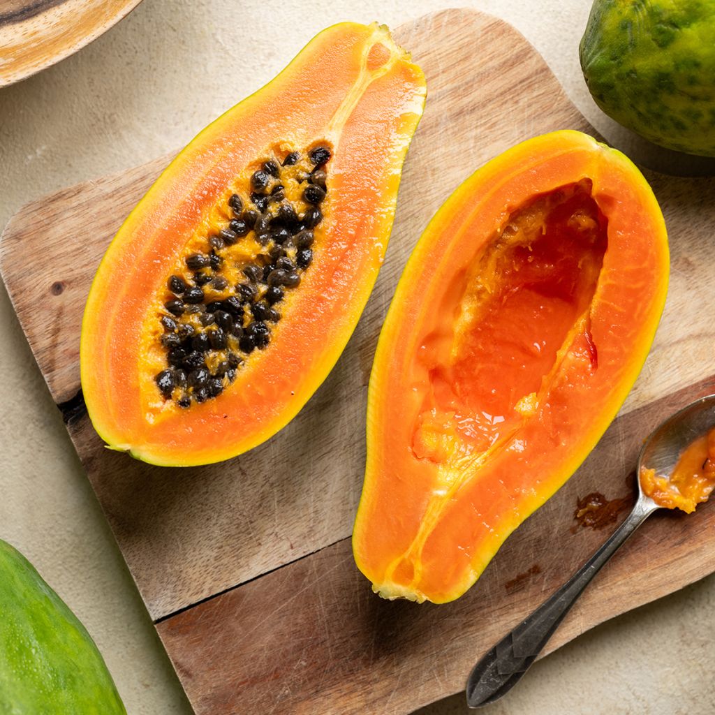 Carica papaya- Papayer