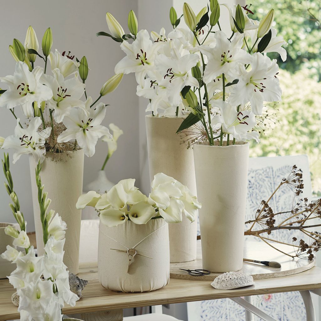 Collection bulbes pour Bouquets modernes blancs