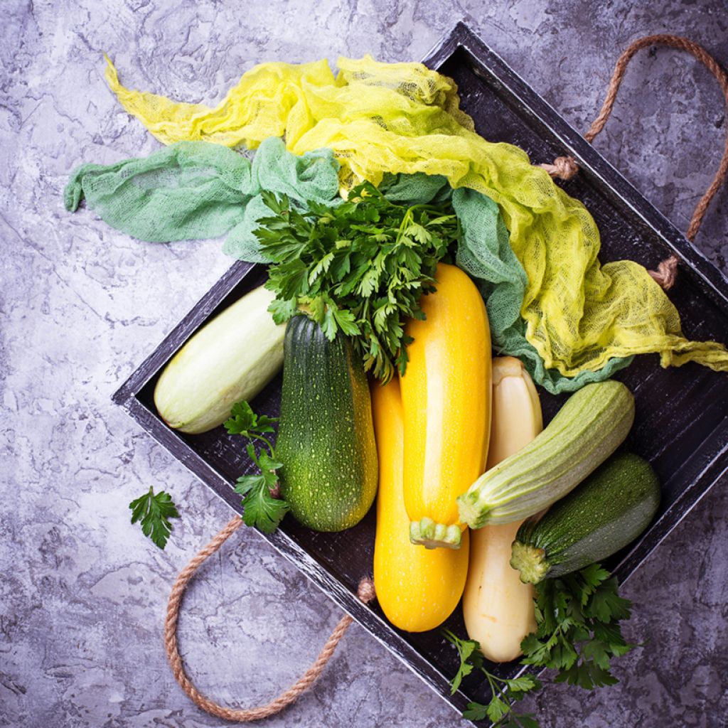 Courge en mélange Ratatouille d'été