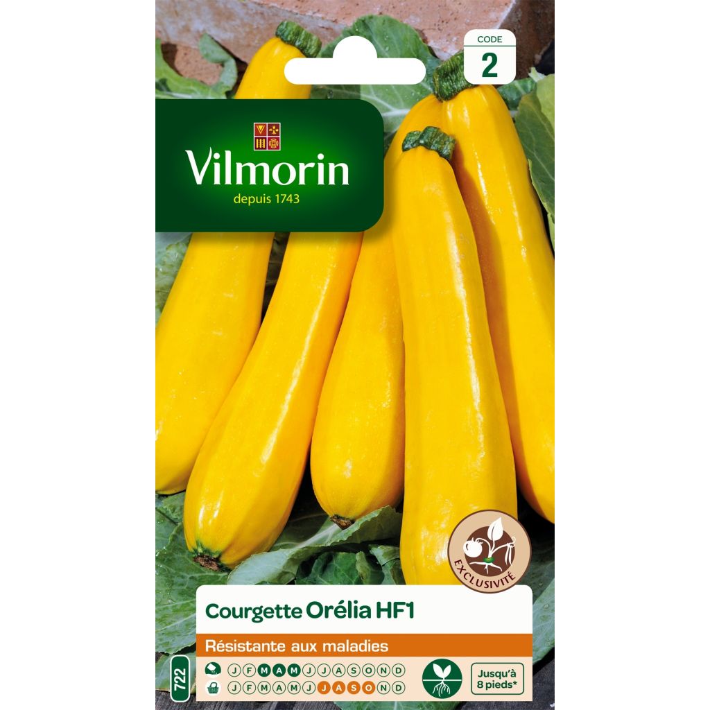 Courgette Orelia F1 (peau jaune) - Vilmorin