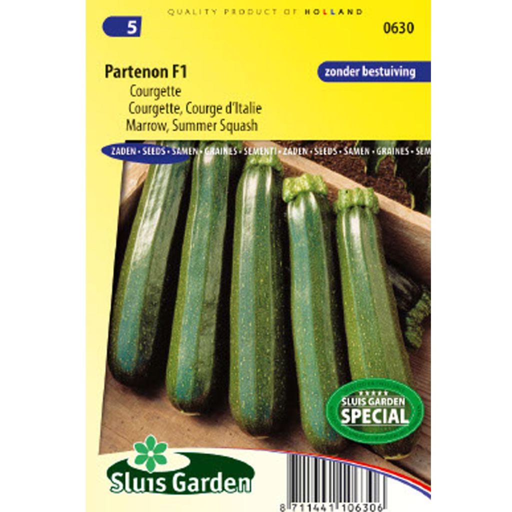 Courgette Partenon F1