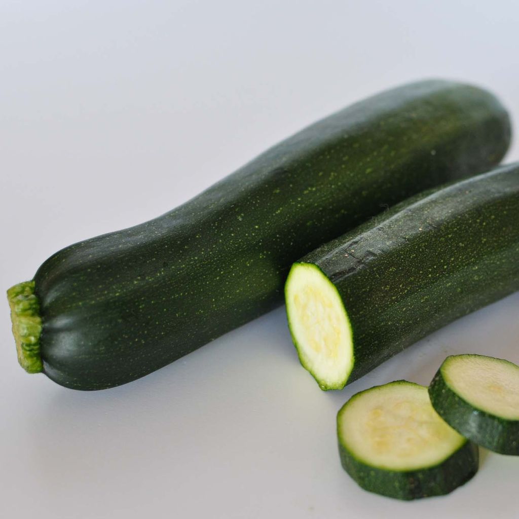 Courgette Verte non coureuse des maraîchers Bio - Cucurbita pepo 