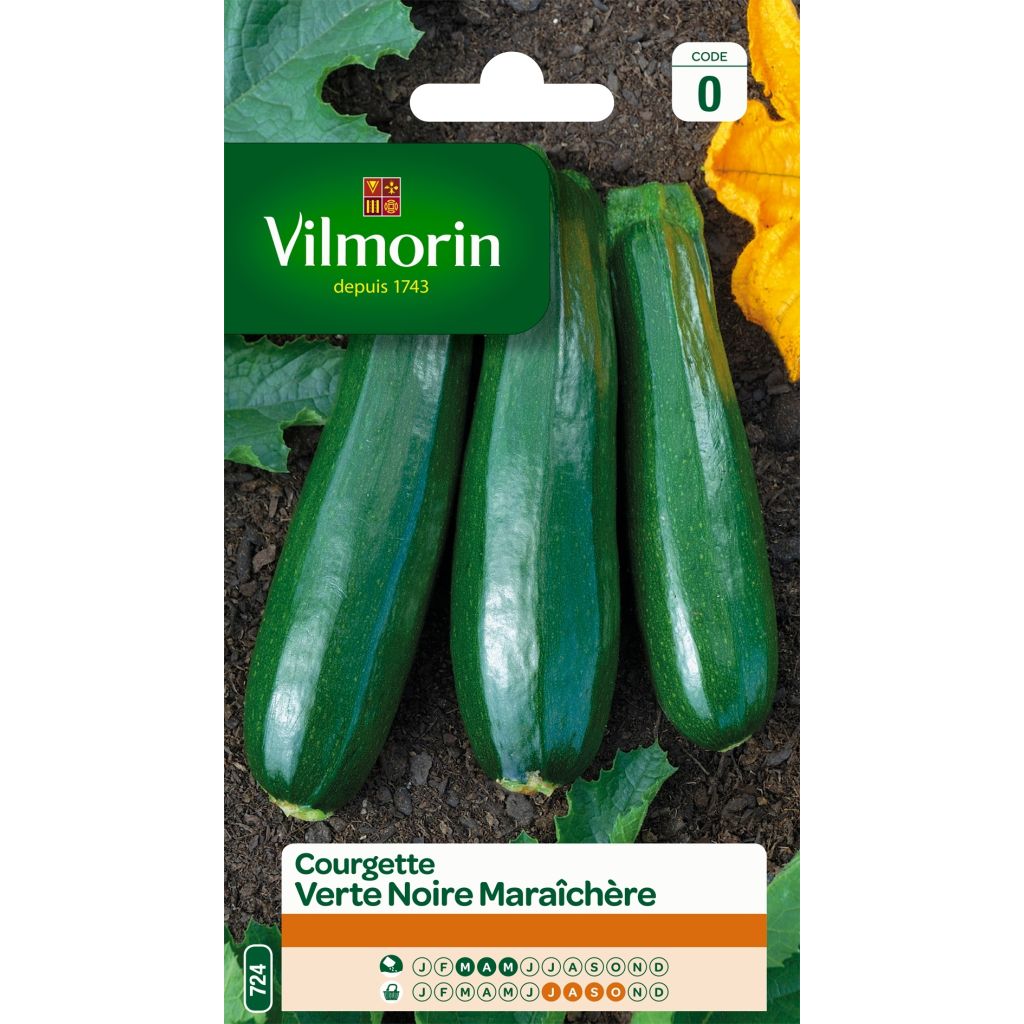 Courgette verte noire maraîchère - Vilmorin