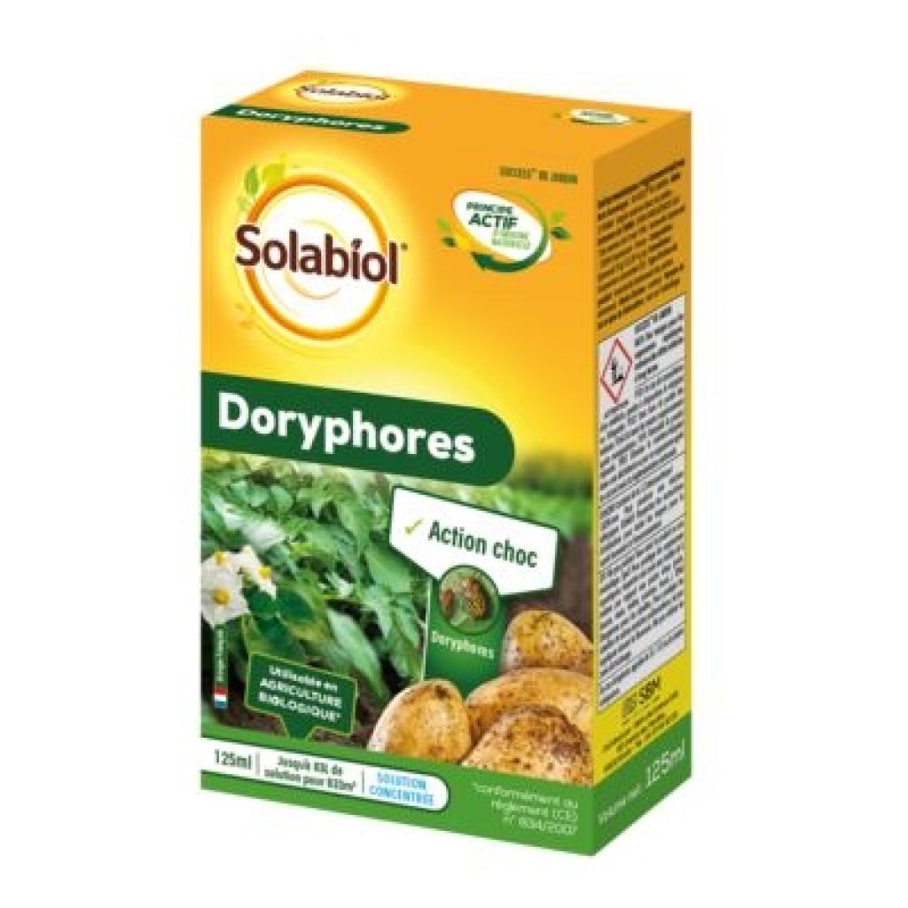 Doryphores Solabiol