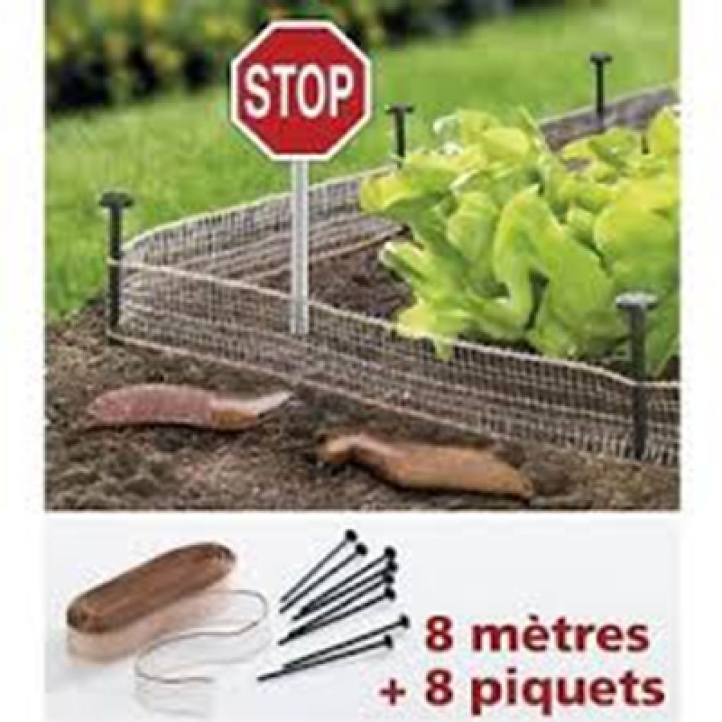 Filet de cuivre avec 8 accroches en métal galvanisé anti-limaces 2 cm x 8 m La Cordeline