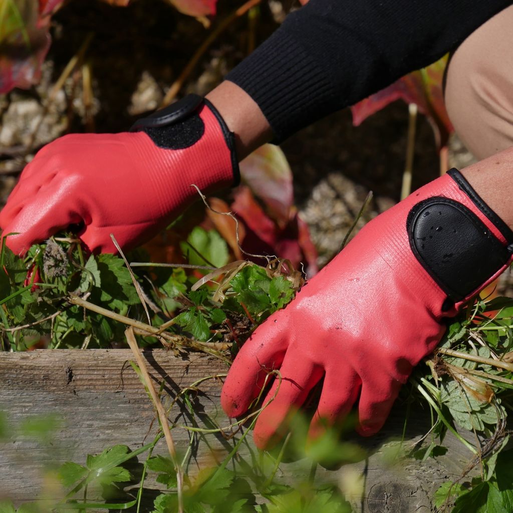 Gants de jardin déperlants Rostaing Maxima rose - différentes tailles disponibles