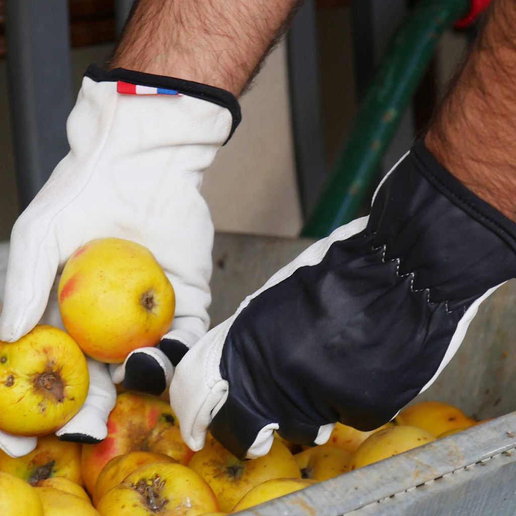 Gants de jardin résistants cuir éco-conçu Rostaing Frenchie - différentes tailles disponibles