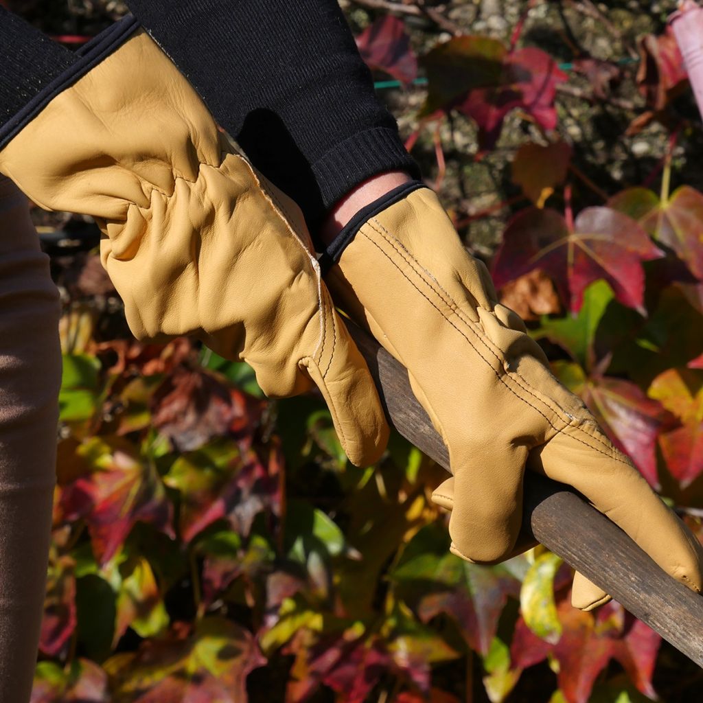 Gants de jardin résistants cuir hydrofuge Rostaing Tradition-I beige - différentes taille disponibles
