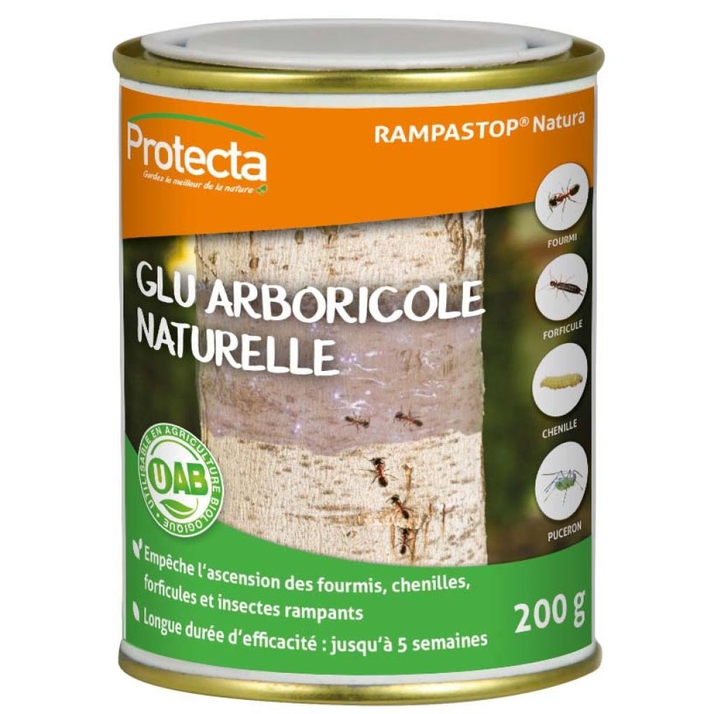 Glu arboricole naturelle Protecta en boîte de 200g