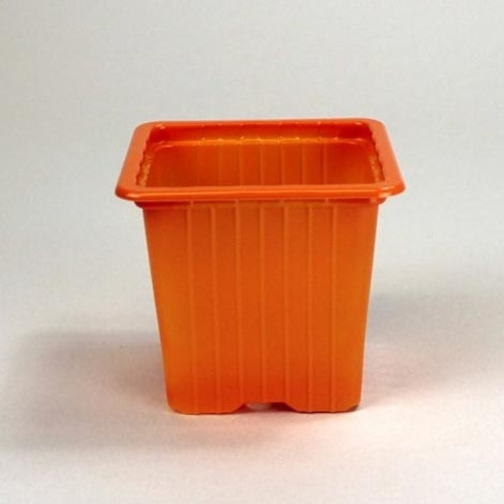 Godet couleur Orange de multiplication - vendu par 30
