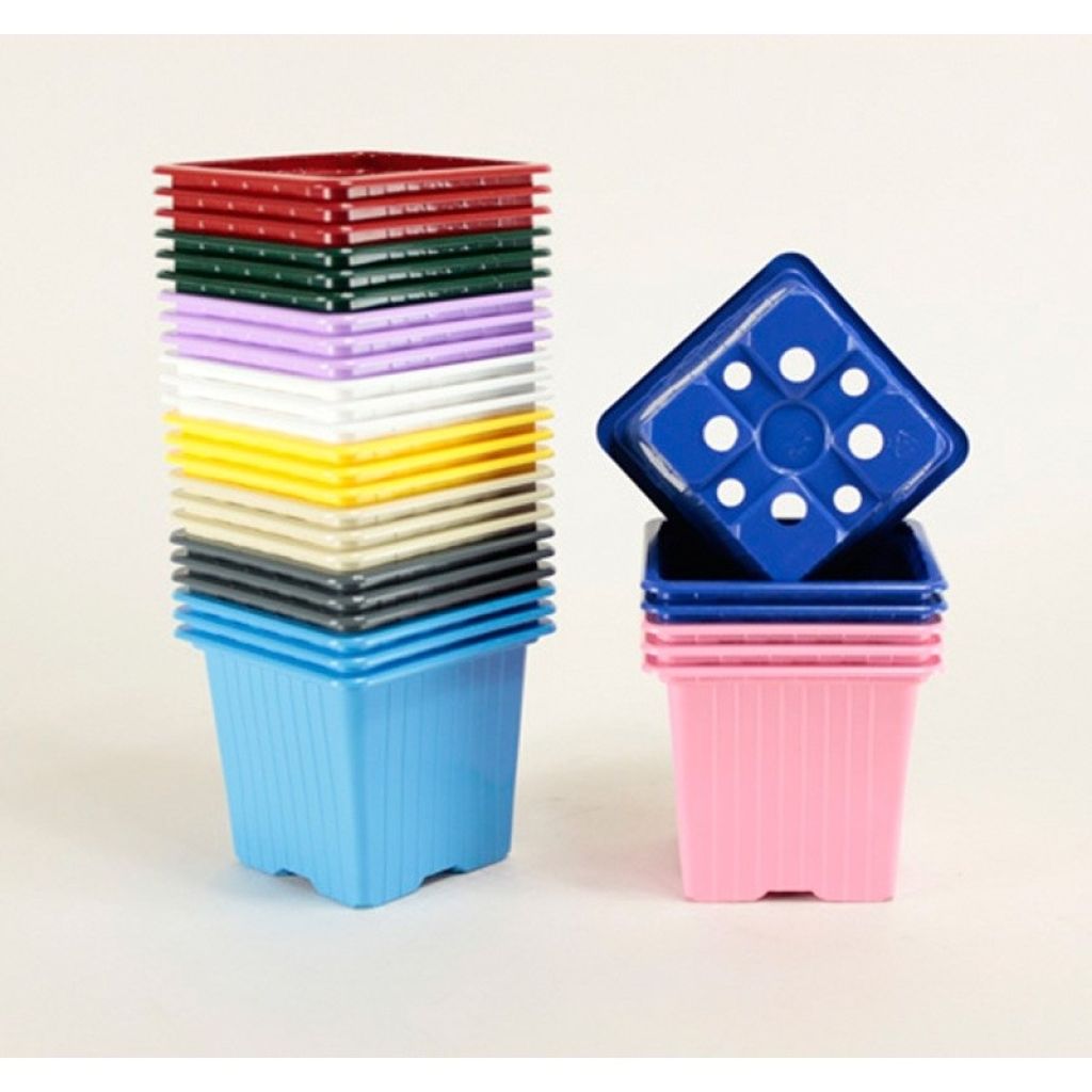 Godet de couleurs variées de multiplication 7 x 7 x 6,4 cm - vendu par 30