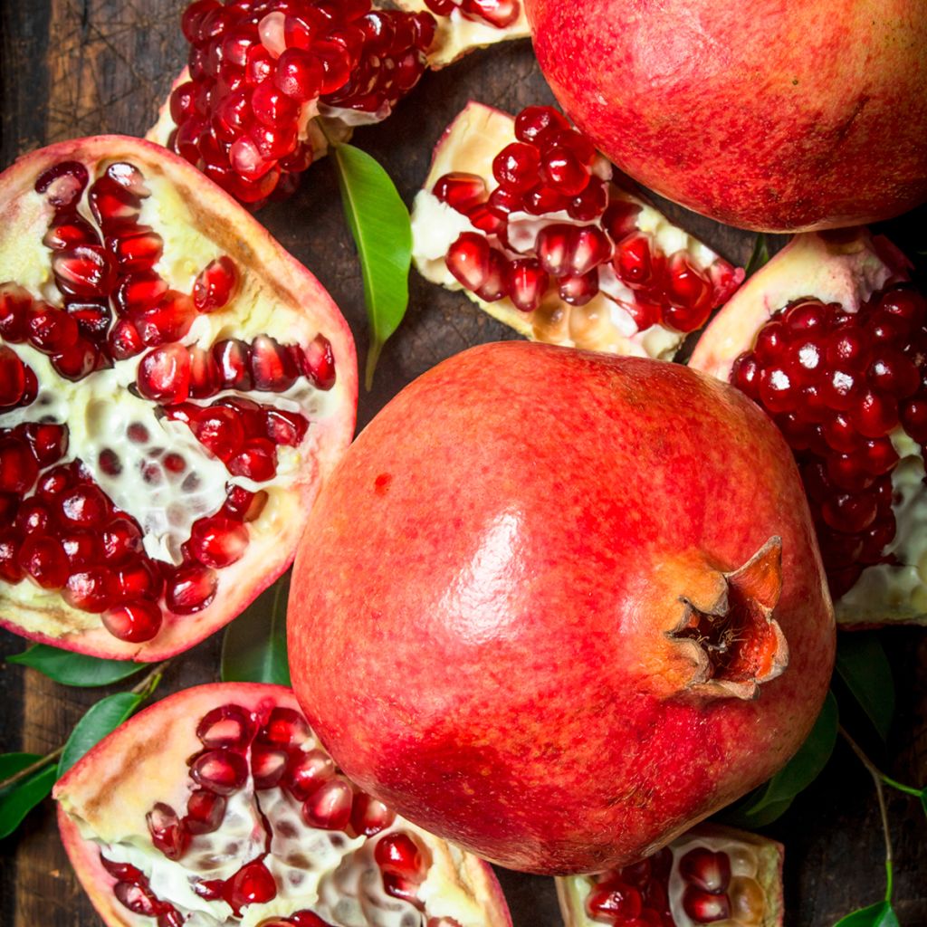 Grenadier à fruits - Punica granatum Provence