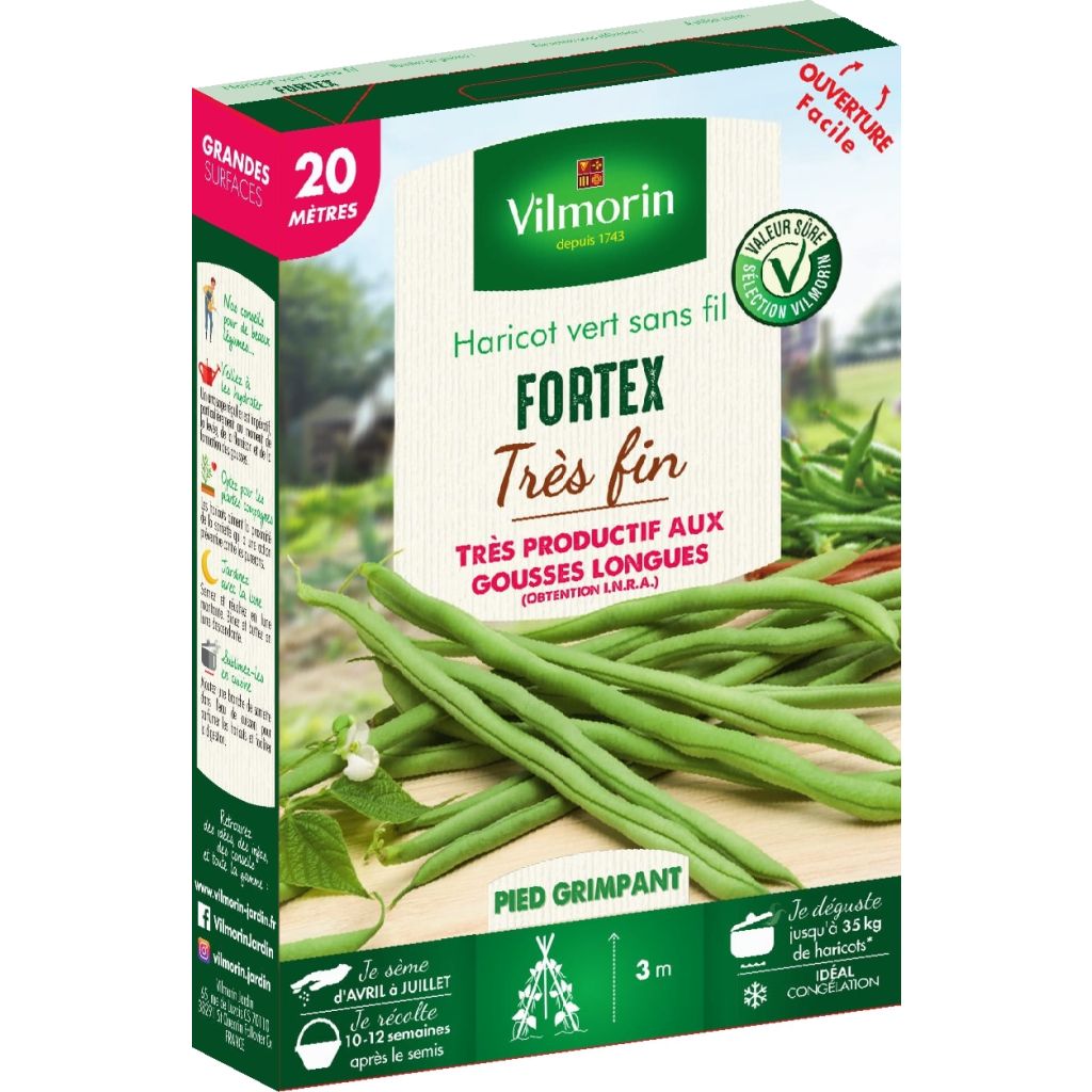 Haricot à rames mangetout Fortex - Vilmorin