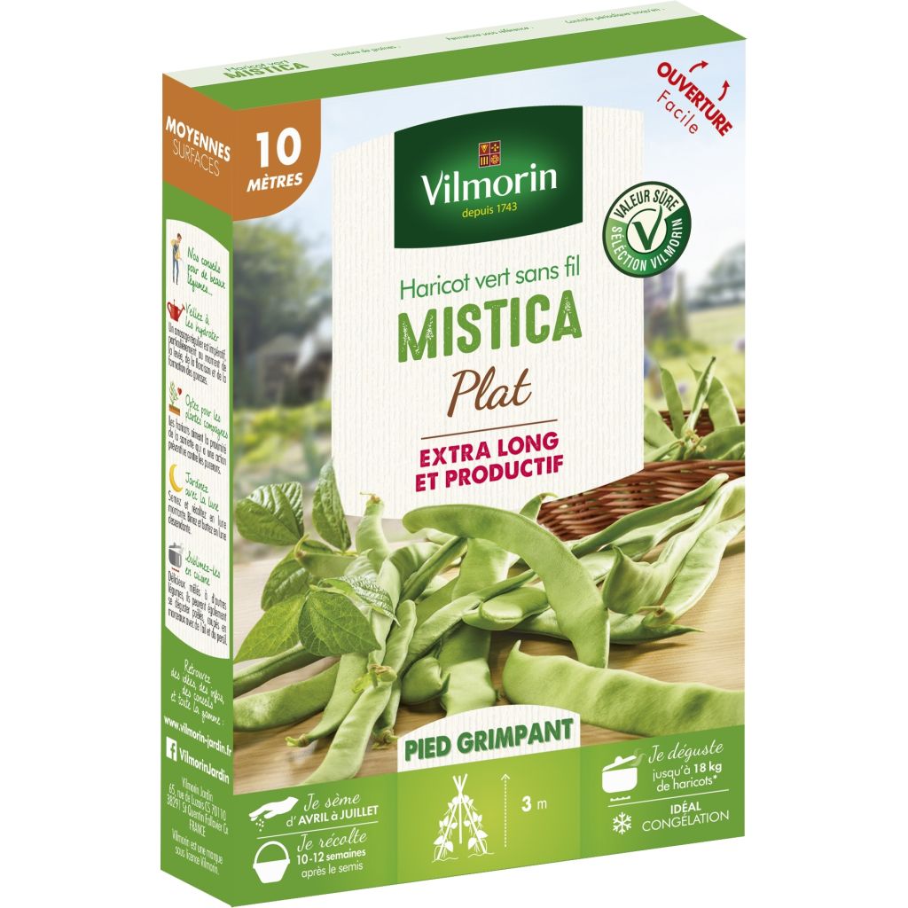 Haricot à rames mangetout Mistica (Création Vilmorin) - Vilmorin