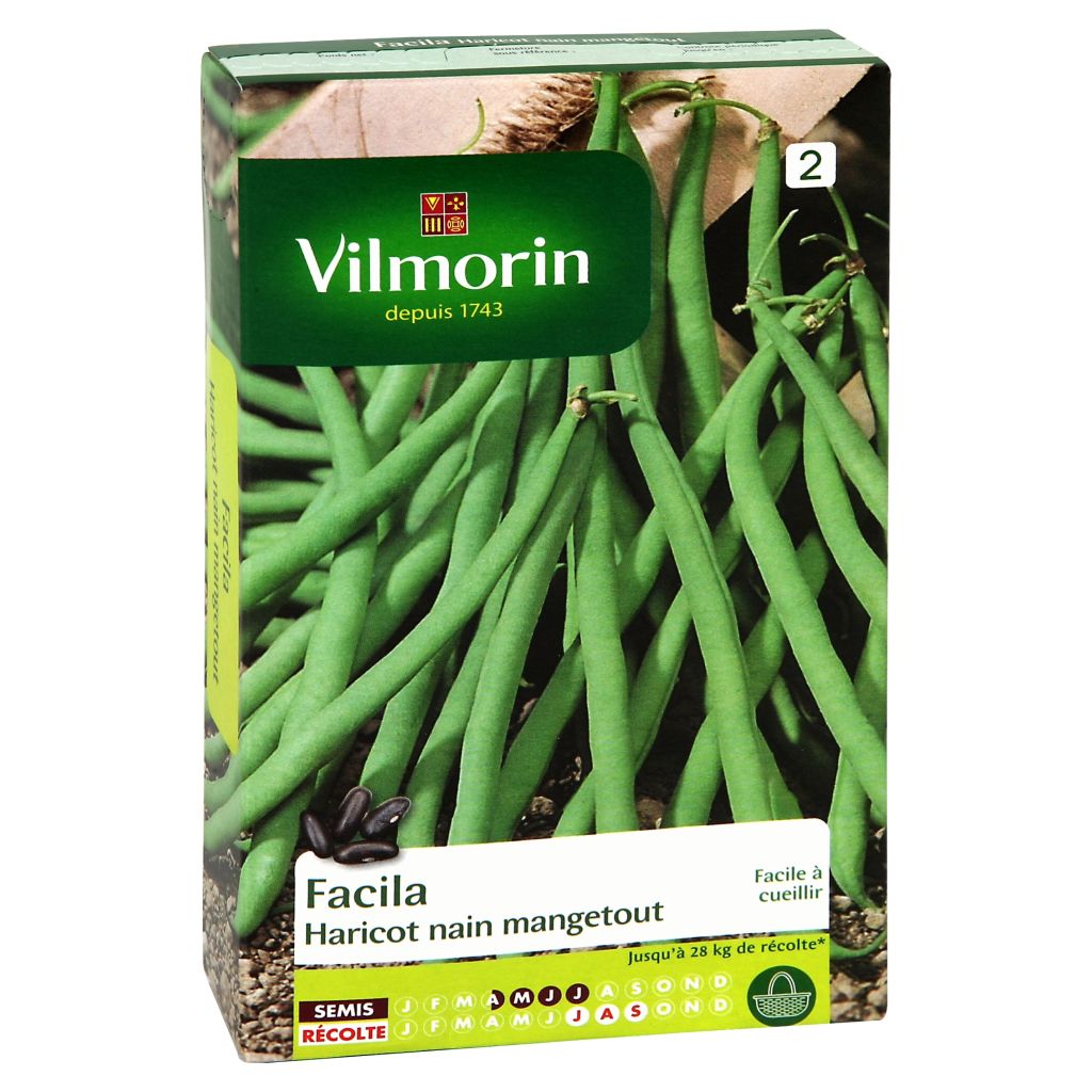 Haricot nain mangetout Facila (facile à cueillir) - Vilmorin