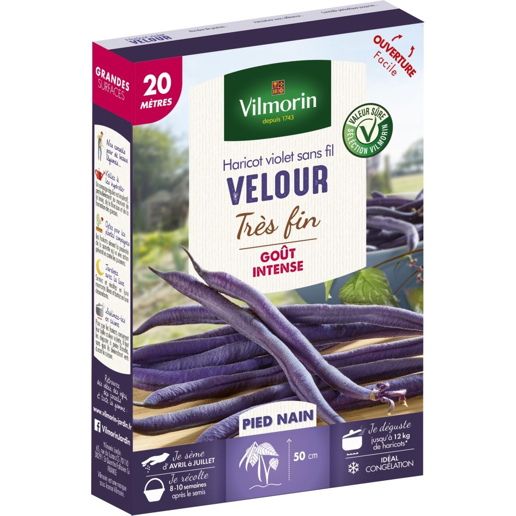 Haricot nain mangetout Velour - Vilmorin 