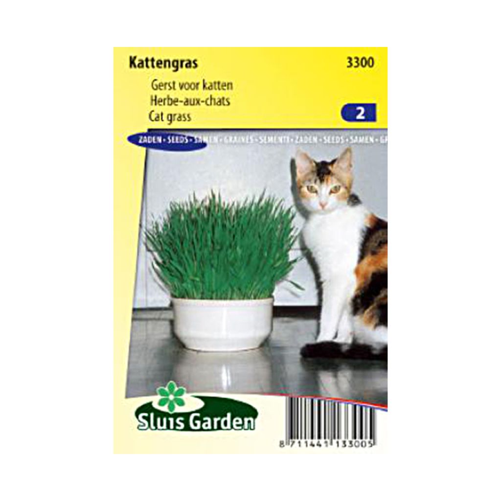 Bac à plantes pour chat + graines d’herbe à chat, boîte d’herbe à c