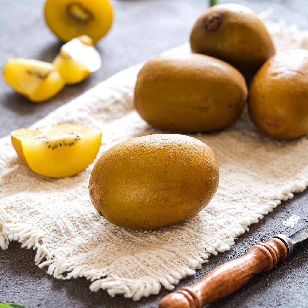 Kiwi jaune autofertile - Actinidia deliciosa Kiwi Gold