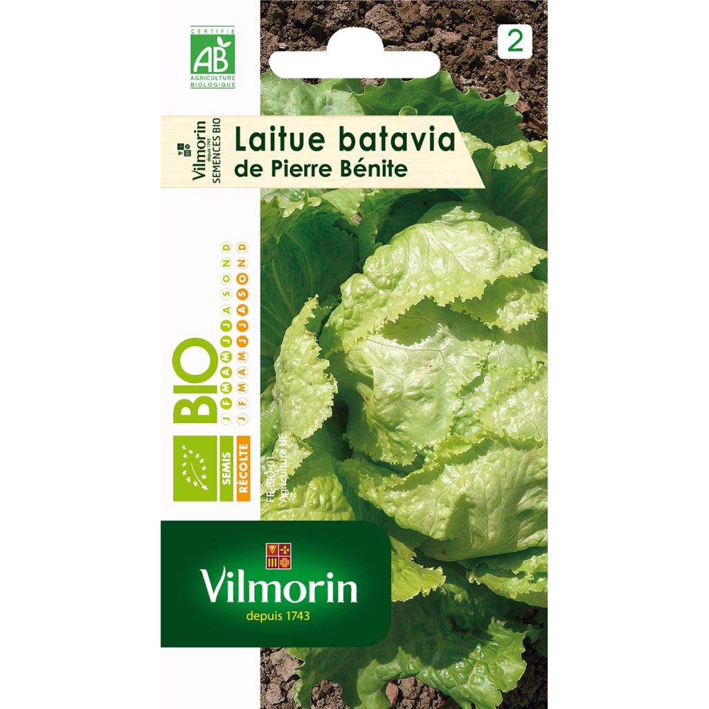 Laitue batavia de Pierre Bénite Bio - Vilmorin