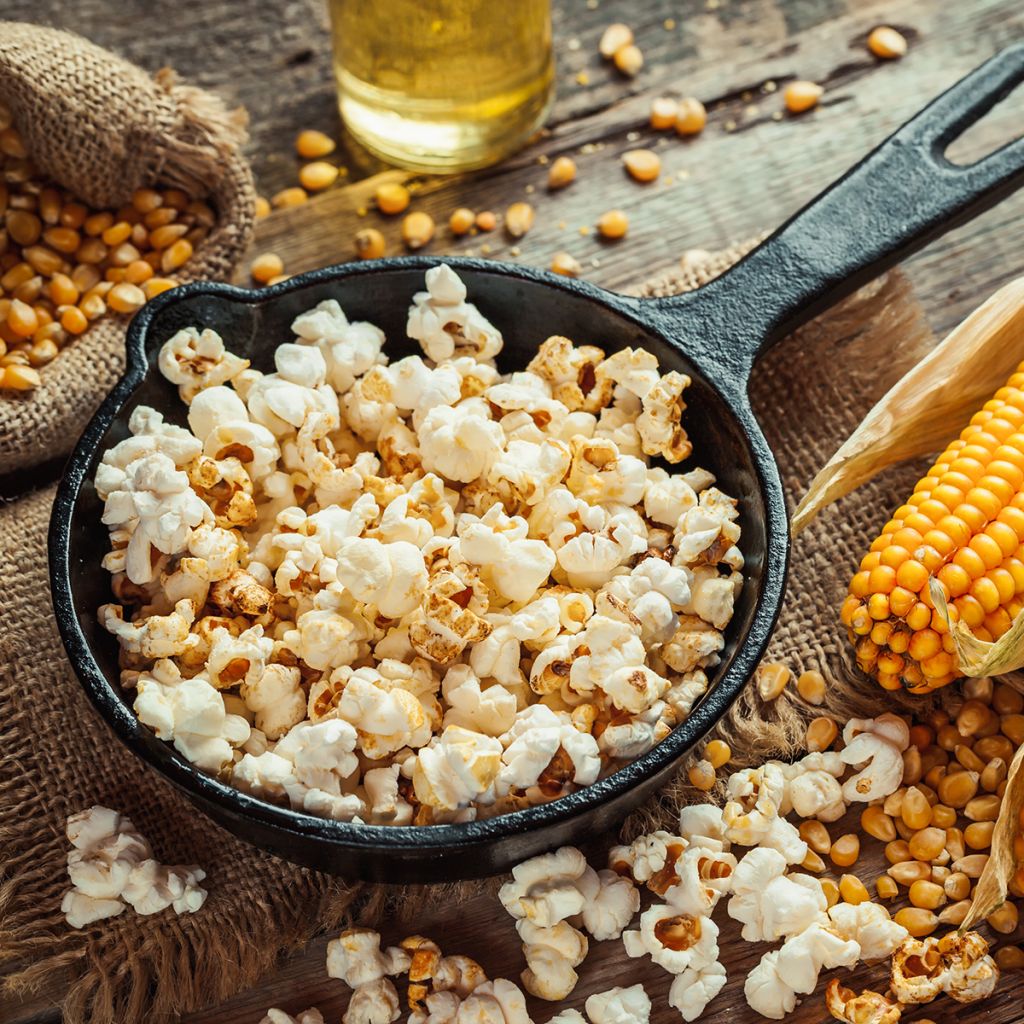 Maïs pour popcorn Plomyk