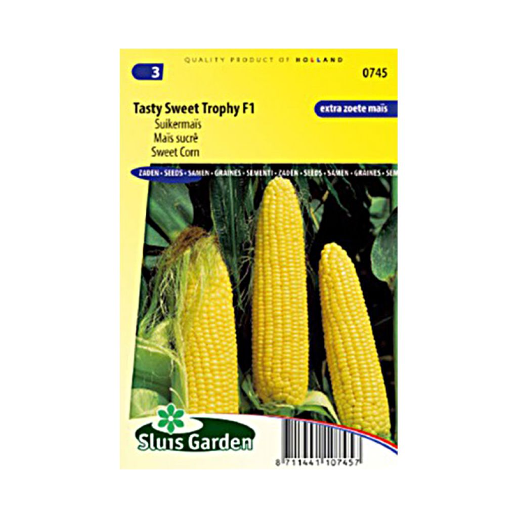 Maïs sucré Tasty Sweet Trophy F1 - Zea Mays