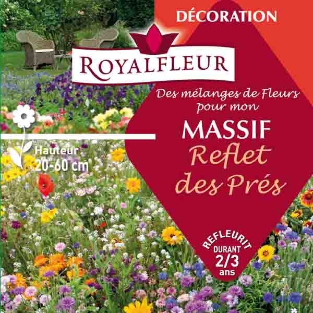 Mélange pour massif reflet des prés - Boite 8 m2