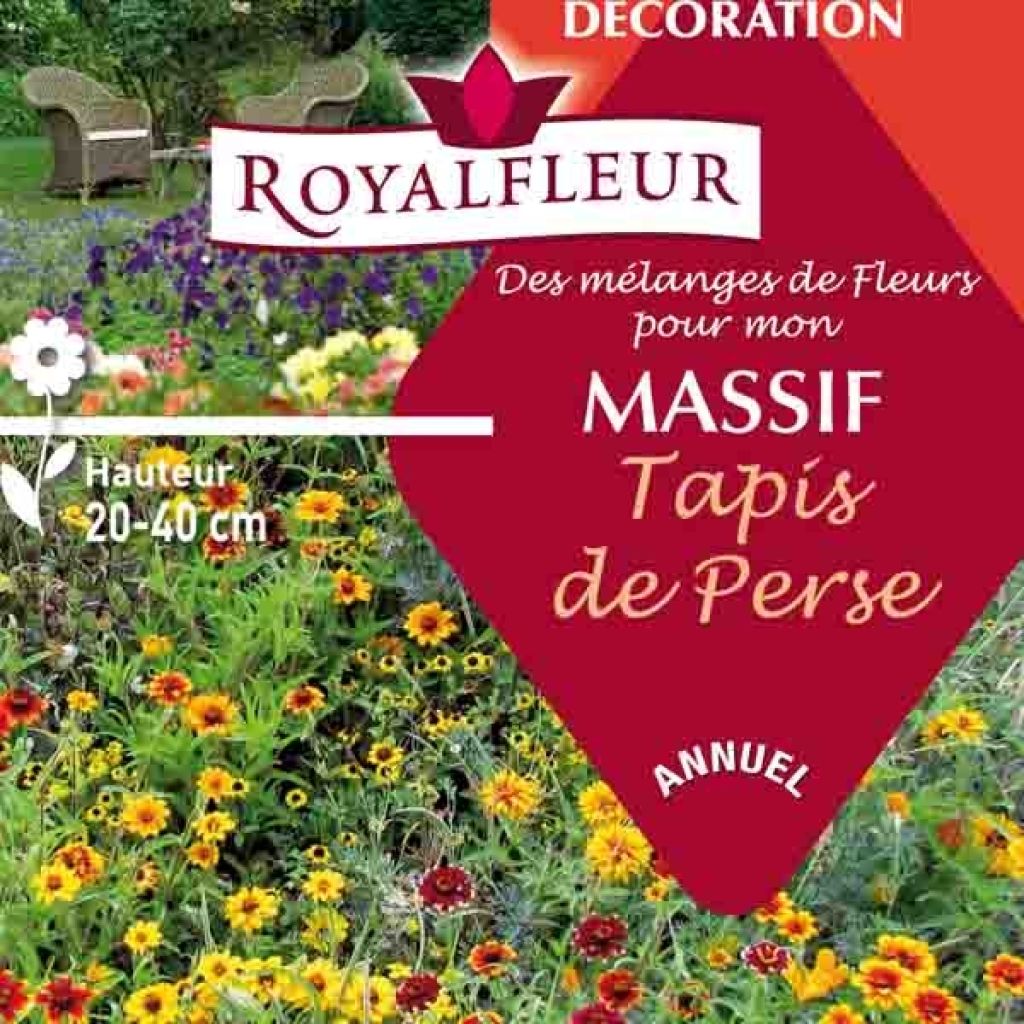 Mélange pour massif tapis de Perse- Boite 8 m2