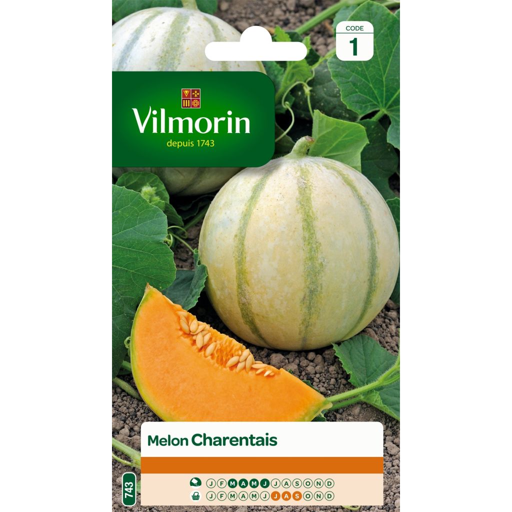 Melon Charentais - Vilmorin