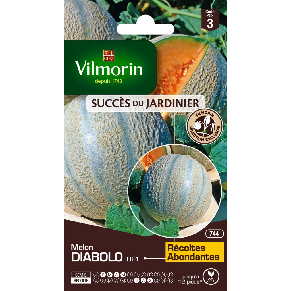 Melon Diabolo F1 - Vilmorin